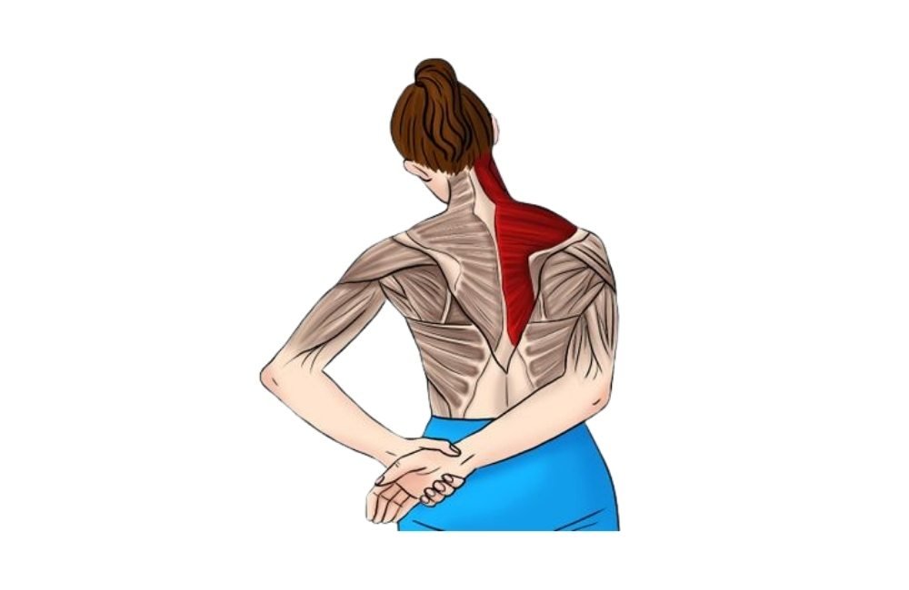 Behind Back Upper Trap Stretch