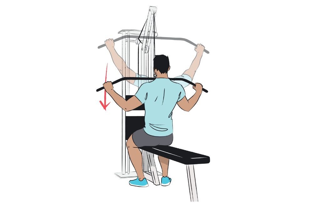 Lat Pulldown