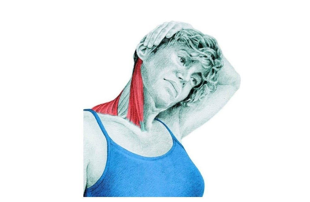 Neck Sidebend Stretch