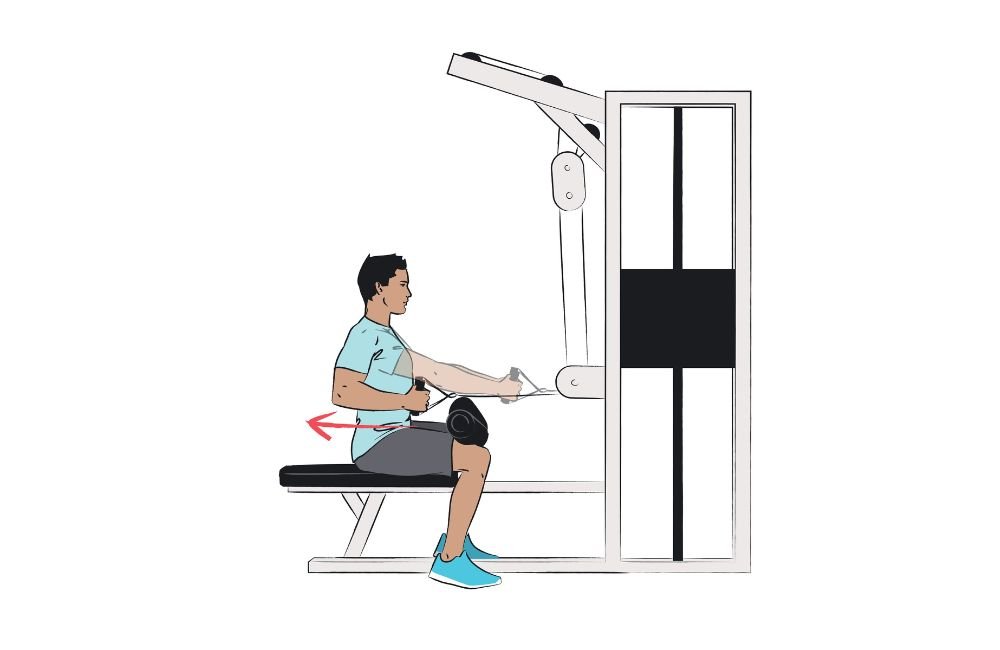 Seated Machine Row