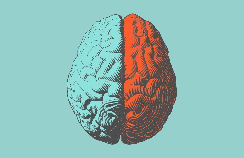 Brain exercises